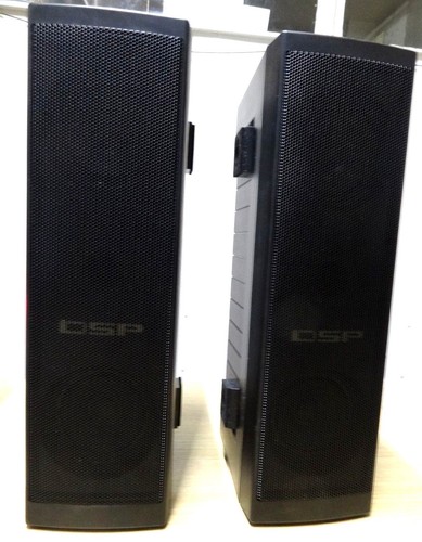 Pair ohm 10w - 4, dsp