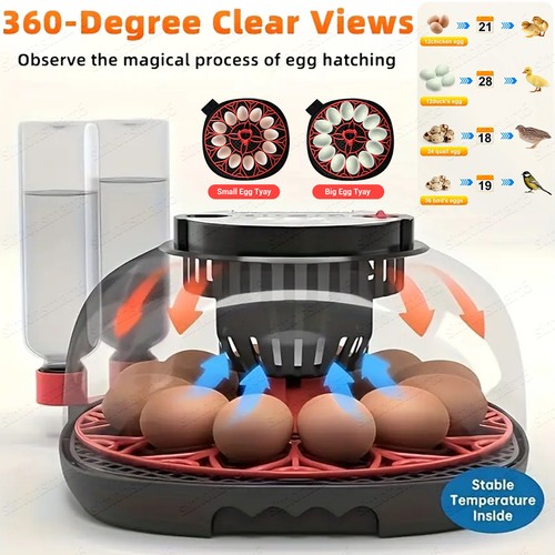 Egg incubator automatic - egg,