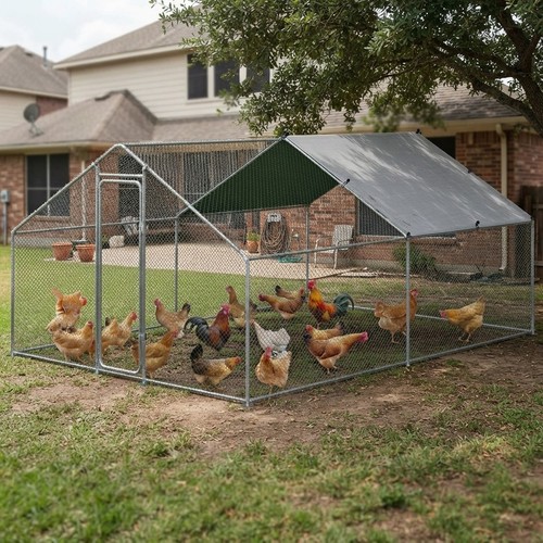 Spacious walk chicken run - walk-in,