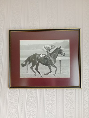 Vintage 1970s horse racing - ,