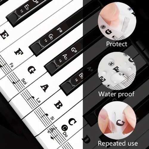 Piano keyboard note - piano, labels