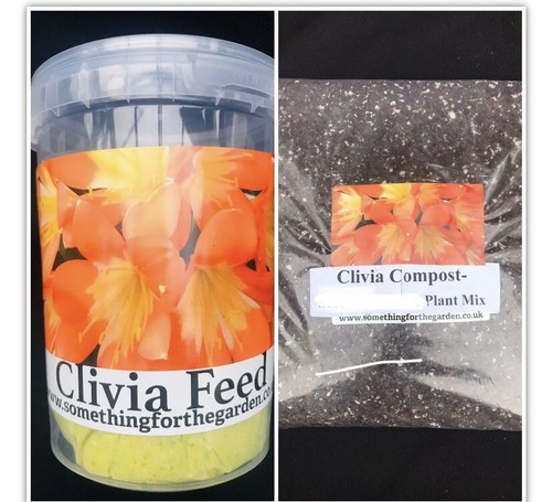 Clivia growers bundle - growers, bundle,