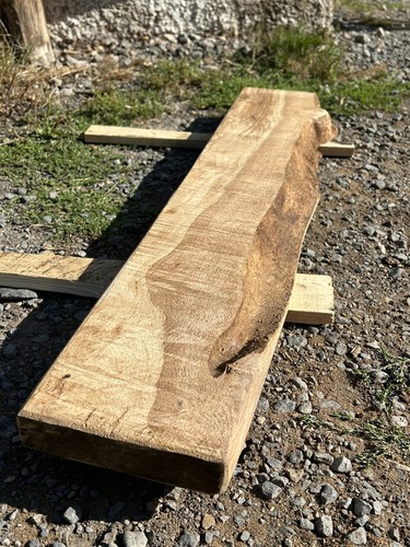 English oak live edge burr - english,