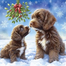 Single Luxury Chocolate Cockapoo Christmas Card Dog Gift/Present XMP