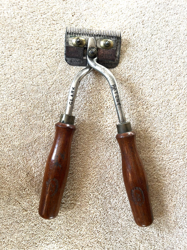 Vintage clarks horse cattle - vintage,