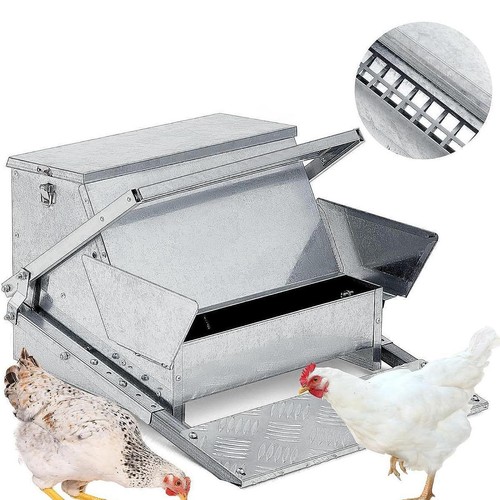 Automatic chicken feeder - automatic,