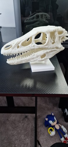 Dinosaur skull freestanding - skull,