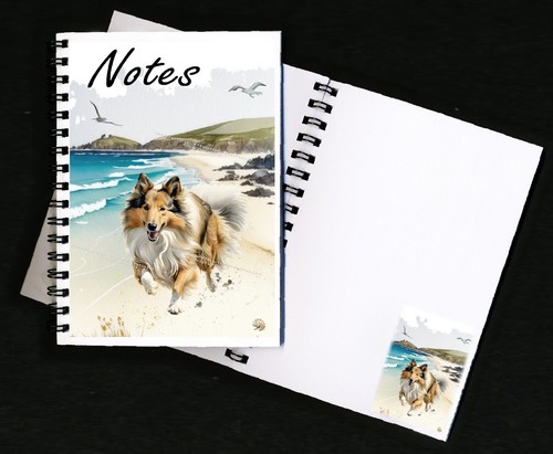 Rough collie dog - collie,