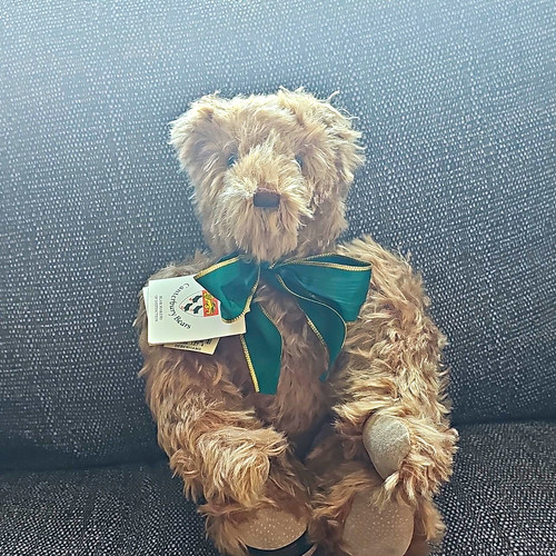 Canterbury bears wooty limited - canterbury,