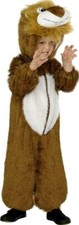 Child's Lion Costume