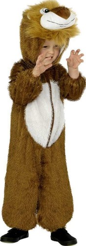Child lion costume - lion,