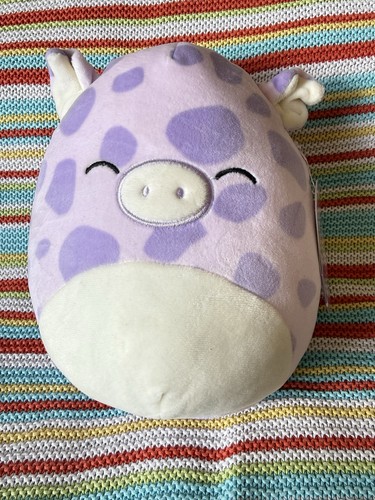 Bnwt squishmallow pammy - bnwt,