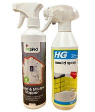 Mould removal and prevention - mould,