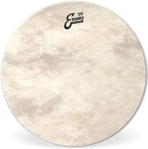 Evans calftone bass - calftone,