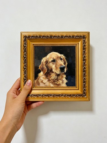 Warm golden retriever dog - warm,