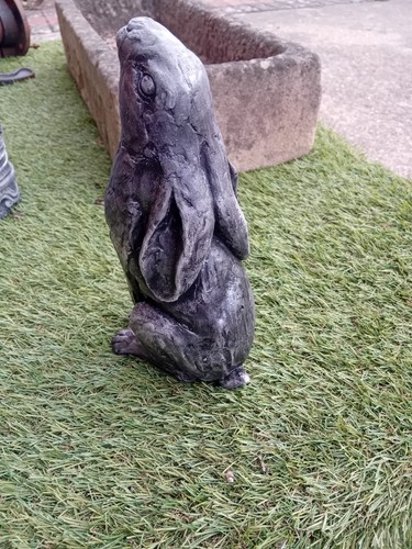Handpainted moon gazing hare - moon,