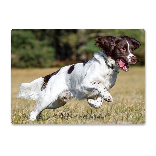 Metal wall sign - wall, dogs