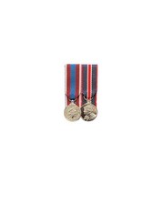 Court Mounted Miniature Medal