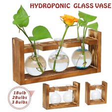 Hydroponic 3 Bulbs Glass Vase