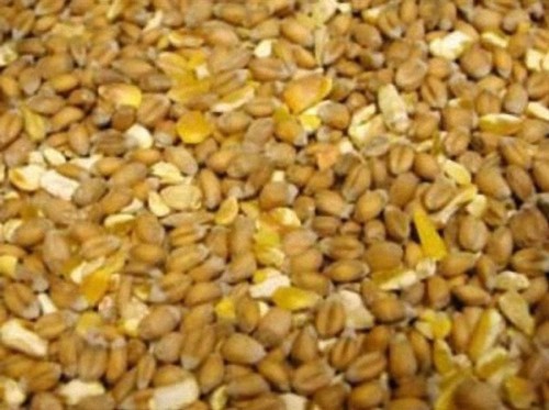 20kg free mixed - gm,