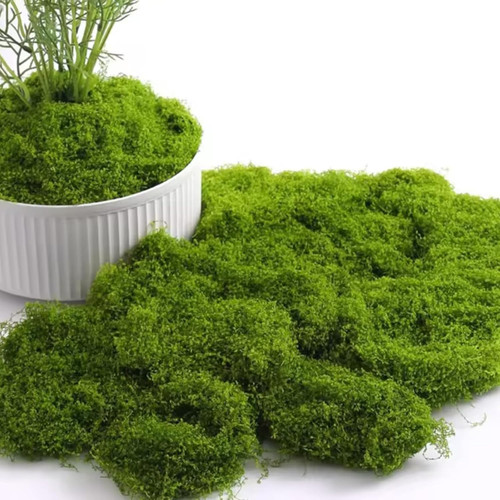 100g artificial moss fake - 100g,