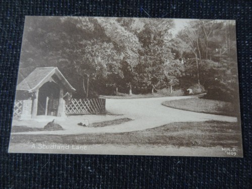 Studland lane postcard - studland,