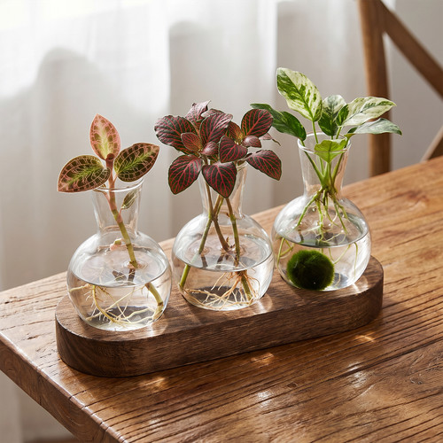 Wooden hydroponic glass vase - wooden,
