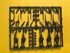 AWI  CONTINENTAL SPRUE  -