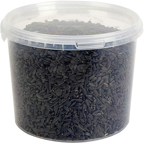 Black sunflower seed wild bird - black,