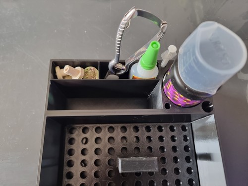 Coral frag dipping station - coral,