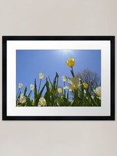 Ants View Framed Art Print
