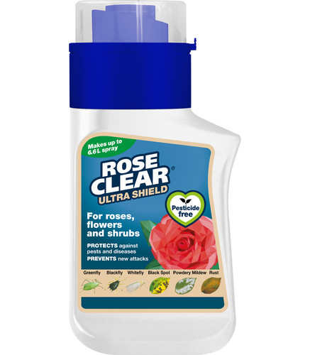 Rose clear ultra concentrate - clear,