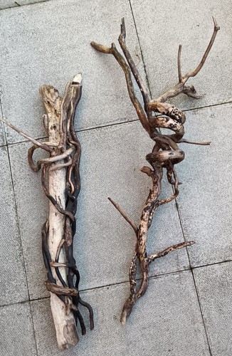 Two large twisted driftwood - two,