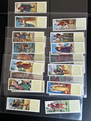 Full set typhoo - full,