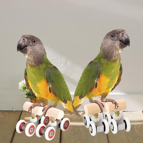 Parrot trick skates - parrot, skateboard