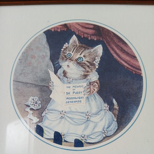 Framed racey helps cat - helps,
