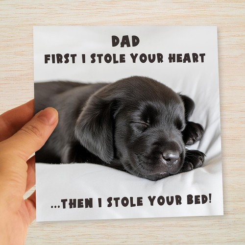 Dog dad birthday card - dad,
