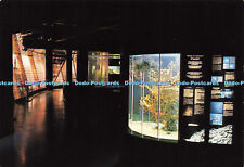 D181528 Aquarium Des Poissons Chats. Mur du Plancton. Striped Catfish Tank and P