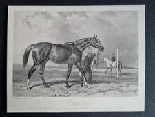 Antique 1856 print - Horse Racing - Rataplan - Winner of Ascot Vase