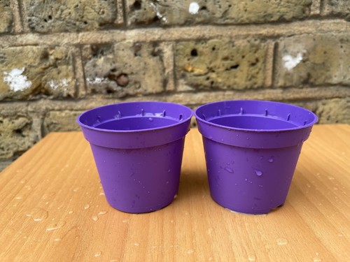 Plastic nursery pot - , 7cm