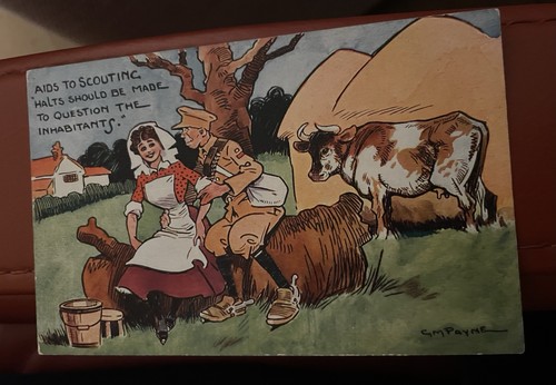 Ww1 comic saucy cartoon old - comic,