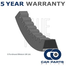 Alternator Belt CPO Fits