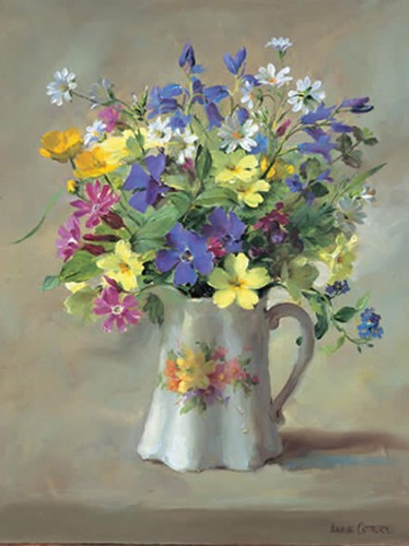 Anne cotterill art blank - cotterill,