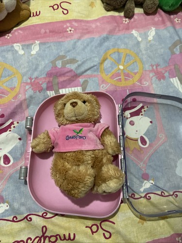 Cute fluffy bear with - bear, matching