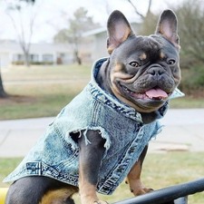 Pet Dog Jeans Jacket Denim