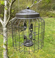 Squirrel proof hanging - squirrel,