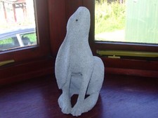 A Beautiful Moon Gazing Hare
