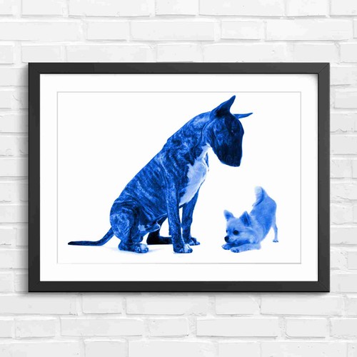 Brindle bull terrier and - terrier, puppy
