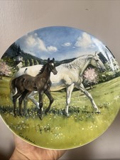 The Austrian Lipizzaner By