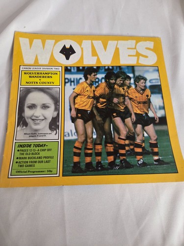 Wolverhampton wanderers wolves - wolverhampton,